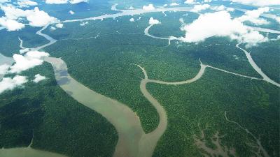 An aerial view shows swaths of forested terrain with the river flowing out to the Bintuni Bay in West Papua, June 13, 2006.
TEMPO/Arif Fadillah/photo file
