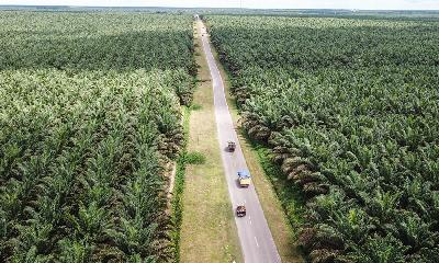 Foto udara area perkebunan sawit milik salah satu perusahaan di Pangkalan Banteng, Kotawaringin Barat, Kalimantan Tengah, 7 November 2022. ANTARA/Makna Zaezar