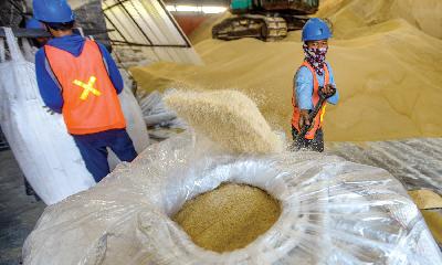 Pekerja mengemas gula mentah impor dari India di Pelabuhan Tanjung Priok, Jakarta, pada Juni 2021. TEMPO/Tony Hartawan