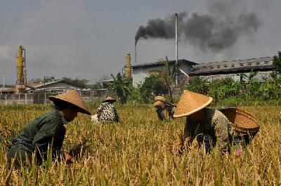 Petani memanen padi di kawasan industri Desa Tempurejo, Tempuran, Magelang, Jawa Tengah, . ANTARA/Anis Efizudin