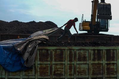 Aktifitas bongkar muat batu bara di pelabuhan Tanjung Priok, Jakarta,4 Agustus 2022. Tempo/Tony Hartawan