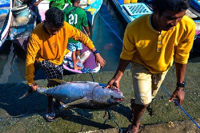 Warga membawa ikan hasil tangkapan di Tempat Pelelangan Ikan Oeba ,Kupang, Nusa Tenggara Timur, 15 Desember 2022. TEMPO/Tony Hartawan