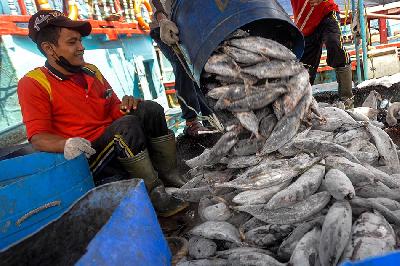 Pekerja membongkar ikan dari kapal  di Pelabuhan Muara Baru, Jakarta. TEMPO/Tony Hartawan