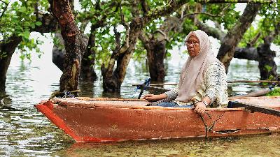 Tawaja Ramzia Djanoan, the founder of the Legal Aid Institute for Women and Children (LBH PA), takes a ride on a boat at Morotai Island, North Maluku, December 17.
Tempo/Febri Angga Palguna
