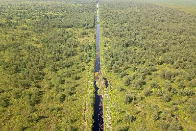 Kawasan Hutan Lindung Gambut (HLG) Sungai Londerang (kiri) dan kawasan hutan konsesi PT Wirakarya Sakti (WKS) (kanan) di Muara Sabak Barat, Jambi, 19 April 2022. ANTARA/Wahdi Septiawan