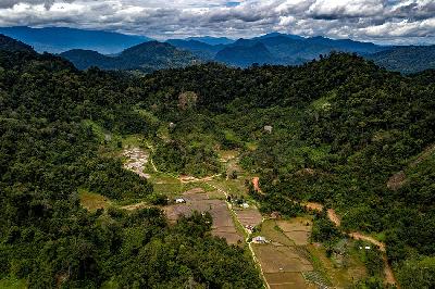 Hutan nagari Jorong Simancuang mengelilingi perkampungan di Solok Selatan, Sumatera Barat. TEMPO/Tony Hartawan