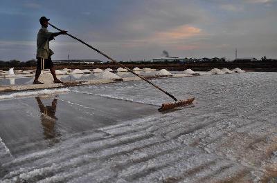 Petani garam di kawasan pergudangan Lantebung, Makassar, Sulawesi Selatan. Dokumentasi TEMPO/Kink Kusuma Rein