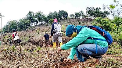 Planting activities at the Damarwulan protected forest area in Ambungan, South Kalimantan, September 2021. 
kmisfip2.menlhk.go.id
