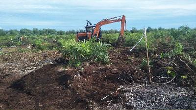 Heavy equipment in operation on a disputed area at Buantan Besar village, Siak Regency, Riau.
TEMPO
