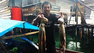 A fisherman shows his catch at Torosiaje village, Pohuwato Regency, Gorontalo, amidst the authorities’ move to restrict the hunt of octopus as part of marine preservation efforts. 
Japesda Gorontalo
