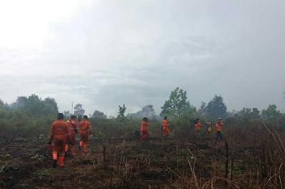 Pemadaman didua titik kebakaran lahan gambut di Kabupaten Hulu Sungai Selatan dan Kota Banjar Baru, 2020. ppid.menlhk.go.id