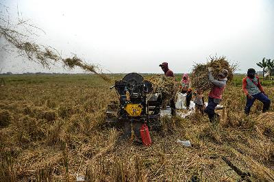 Petani memanen padi di Babelan, Kabupaten Bekasi, Jawa Barat. TEMPO/Tony Hartawan