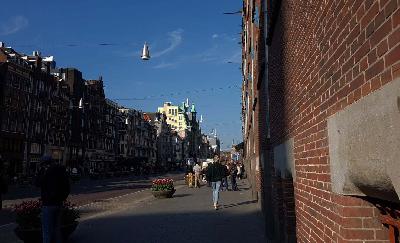 Pejalan kaki di Amsterdam, Belanda. TEMPO/Ijar Karim