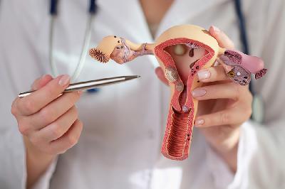 Ilustrasi kesehatan reproduksi wanita. SHUTTERSTOCK