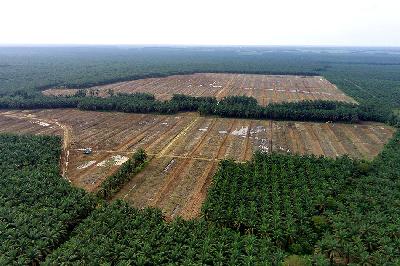 Foto udara lokasi menumbangkan pohon kelapa sawit di Mesuji Raya, Ogan Komering Ilir, Sumatera Selatan, 29 April 2023. ANTARA/Budi Candra Setya