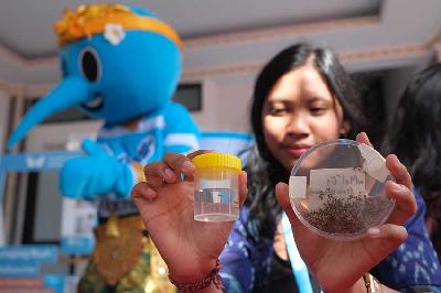 Petugas menunjukkan sampel nyamuk aedes aegypti yang sudah disuntikkan bakteri Wolbachia saat peluncuran kampanye metode Wolbachia dari World Mosquito Program (WMP) dan Save the Children Indonesia untuk cegah demam berdarah dengue di Denpasar, Bali, 6 Juni 2023. ANTARA/Nyoman Hendra Wibowo