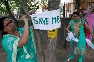 Sejumlah aktivis perempuan saat Kampanye Selamatkan Pohon di New Delhi, 2018. Reuters/Adnan Abidi