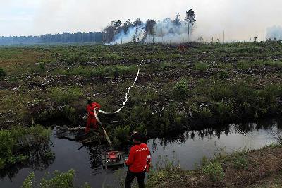Petugas menyiapkan selang air untuk memadamkan kebakaran hutan gambut di Kecamatan Silaut Kabupaten Pesisir Selatan, Sumatera Barat, 26 Mei 2023. ANTARA/Muhammad Arif Pribadi