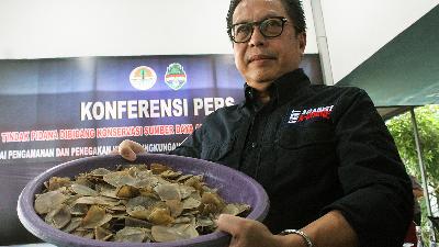 Director General of Environment and Forestry Law Enforcement (Gakkum KLHK) Rasio Ridho Sani shows the evidence of pangolin scales in a case release at the office of the West Kalimantan Rapid Response Forestry Police Unit (SPORC) in Kubu Raya Regency, West Kalimantan, on Thursday, June 15, 2023. ANTARA FOTO/Jessica Helena Wuysang