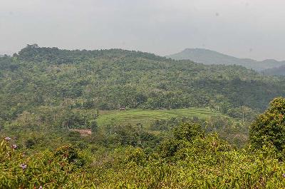 Area hutan di Sobang, Lebak, Banten, 14 Juni 2023. ANTARA/Muhammad Bagus Khoirunas