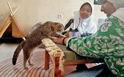 Pengunjung kafe Gemuyu Cat di Cibinong, Jawa Barat, 9 Agustus 2023. TEMPO/Ilona Esterina