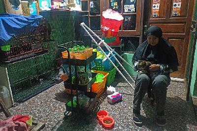 Pendiri Rumah Difabel Meong, Hening Yulia, membersihkan kucing yang dirawat di penampungan kucing Rumah Difabel Meong, Sukoharjo, Jawa Tengah, 9 Agustus 2023. TEMPO/Septia Ryanthie