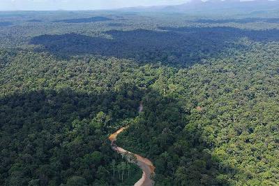 Bentangan hutan primer pada kawasan Hutan Lindung di Desa Nyaribungan, Kecamatan Laham, Kabupaten Mahakam Ulu, Kalimantan Timur, 30 Juli 2023. Betahita.id/Aryo Bhawono
