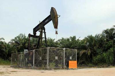 Sebuah pompa minyak beroperasi di ladang sumur Blok Rokan areal kerja Tanah Putih Tanjung Melawan Rokan Hilir, Riau, 2021. ANTARA/Aswaddy Hamid
