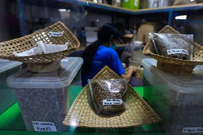 Pekerja tengah memilah biji kopi di Pasar Santa, Jakarta, November 2022. Tempo/Tony Hartawan