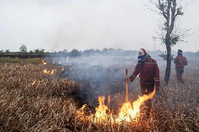 Petugas dari Manggala Agni Daops Banyuasin dan Polri berusaha memadamkan kebakaran lahan yang terjadi di Desa Sungai Rambutan, Indralaya Utara, Ogan Ilir (OI), Sumatera Selatan, 6 September 2023. ANTARA/Nova Wahyudi