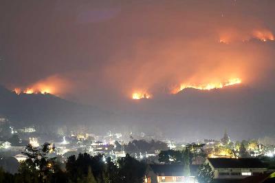 Api membakar hutan dan lahan (karhutla) kawasan Gunung Arjuno terlihat di Prigen, Pasuruan, Jawa Timur, Selasa (5/9/2023). Menurut data Badan Penanggulangan Bencana Daerah (BPBD) Jawa Timur kebakaran hutan dan lahan di kawasan Gunung Arjuno meluas di 156 titik dengan luas lahan yang terbakar sekitar 3.910 hektare. ANTARA FOTO/Umarul Faruq/tom.