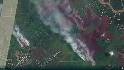 Area kebakaran lahan di Kabupaten Kubu Raya, Kalimantan Barat. Dokumentasi Greenpeace