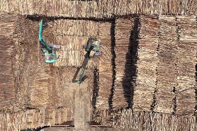 Bongkar muat pohon Eucalyptus yang merupakan bahan baku kertas untuk diekspor di Penajam Paser Utara, Kalimantan Timur, 22 Agustus 2023. ANTARA/M Risyal Hidayat