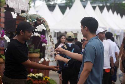 Penggemar reptil menjawab pertanyaan pengunjung di festival Pet Euphoria di Paris van Java, Bandung, Jawa Barat, 6 Oktober 2023. TEMPO/Prima Mulia