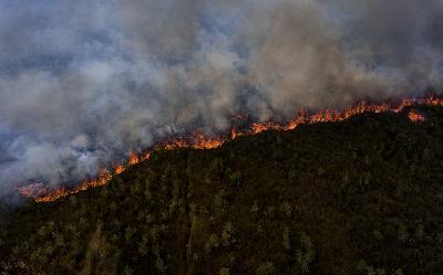 Foto udara api membakar lahan gambut di Pedamaran, Ogan Komering Ilir (OKI), Sumatera Selatan, 18 September 2023. ANTARA/Nova Wahyudi
