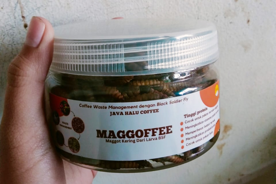 Menggapai Zero Waste Produksi Kopi | tempo.co
