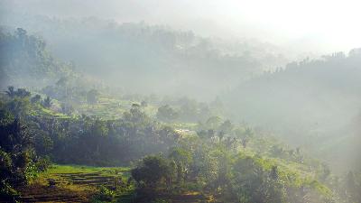 Dusun Miduana, Desa Balegede, Kecamatan Naringgul, Kabupaten Cianjur, Jawa Barat, 5 Oktober 2023/Tempo/Febri Angga Palguna