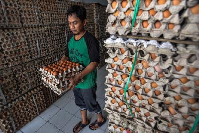 Pekerja agen telur di Kawasan Cipinang, Jakarta, 20 November 2023. Tempo/Tony Hartawan