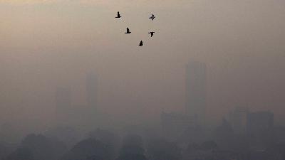 Birds fly on a smoggy morning in Jakarta, Indonesia, May 27, 2022. REUTERS/Willy Kurniawan/File Photo