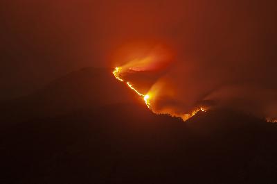 Kebakaran hutan di Gunung Merbabu, Boyolali, Jawa Tengah, 28 Oktober 2023. ANTARA/Aloysius Jarot Nugroho