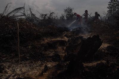 Kebakaran lahan gambut di Desa Jungkal, Kecamatan Pampangan, Ogan Komering Ilir (OKI), Sumatera Selatan, 7 November 2023. ANTARA/Nova Wahyudi