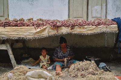 Pekerja harian membersihkan bawang merah yang baru dipanen di Desa Sidamulya, Wanasari, Brebes, Jawa Tengah, 26 November 2023. TEMPO/M Taufan Rengganis