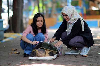 Tifa, 13 tahun bersama ibunya Annisianti Septiani memandikan kura-kura di BFC Mini Farm, Tangerang Selatan, Banten, 19 Desember 2023. TEMPO/Ijar Karim