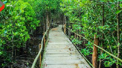Koordinasi dengan BRGM untuk penananam mangrove agar lokasi tepat sasaran