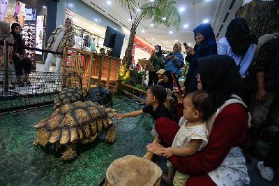 Pengunjung melihat koleksi satwa milik Gembira Loka Zoo di Mall Ambarrukmo Plaza, Sleman, DI Yogyakarta, 7 Desember 2023. ANTARA/Hendra Nurdiyansyah
