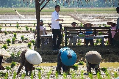 Presiden Joko Widodo berbincang dengan petani saat kunjungan kerja di area persawahan Kecamatan Kesesi, Kabupaten Pekalongan, Jawa Tengah, 13 Desember 2023. ANTARA FOTO/Harviyan Perdana Putra