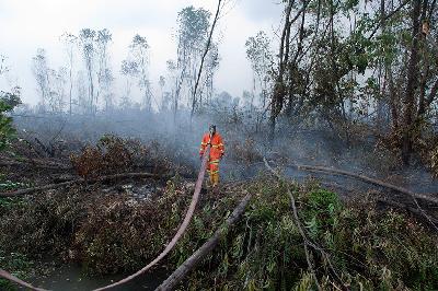 Petugas pemadam kebakaran berusaha memadamkan kebakaran di Rokan Hilir, Riau, 2013. Dok. TEMPO/Wisnu Agung Prasetyo
