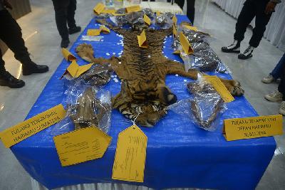 Barang bukti tindak kejahatan perdagangan satwa berupa kulit harimau (Panthera tigris sumatrae) dan bagian tubuh lainnya ditunjukkan saat rilis di Polda Aceh, Banda Aceh, 22 Januari 2023. ANTARA/Ampelsa