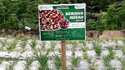 Lokasi Food Estate di Desa Siriaria, Humbang Hasundutan, Sumatera Utara, 2021. Tempo/Sahat Simatupang