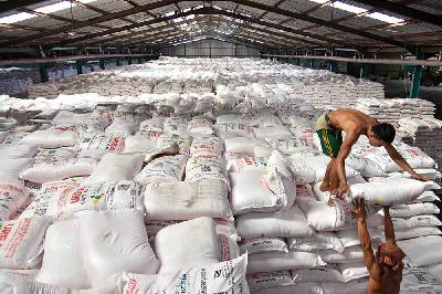 Pekerja mengangkut karung berisi pupuk bersubsidi di Gudang Penyimpanan Pupuk Distribution Center (DC), Medan, Sumatera Utara, 15 November 2023. ANTARA/Fransisco Carolio
